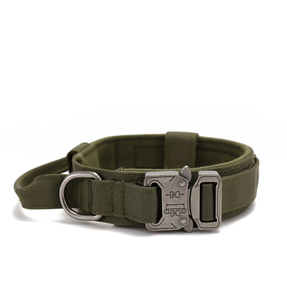 Green tactical belt with a silver buckle on a white background