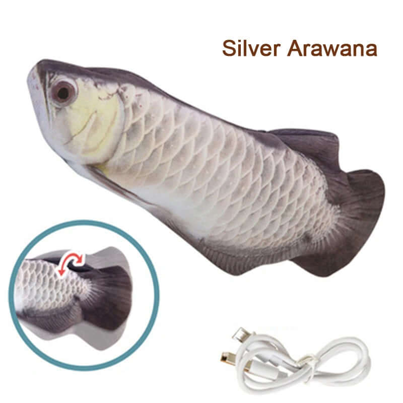 Silver Arawana fish with a close-up of its scales and an electrical plug on a white background.