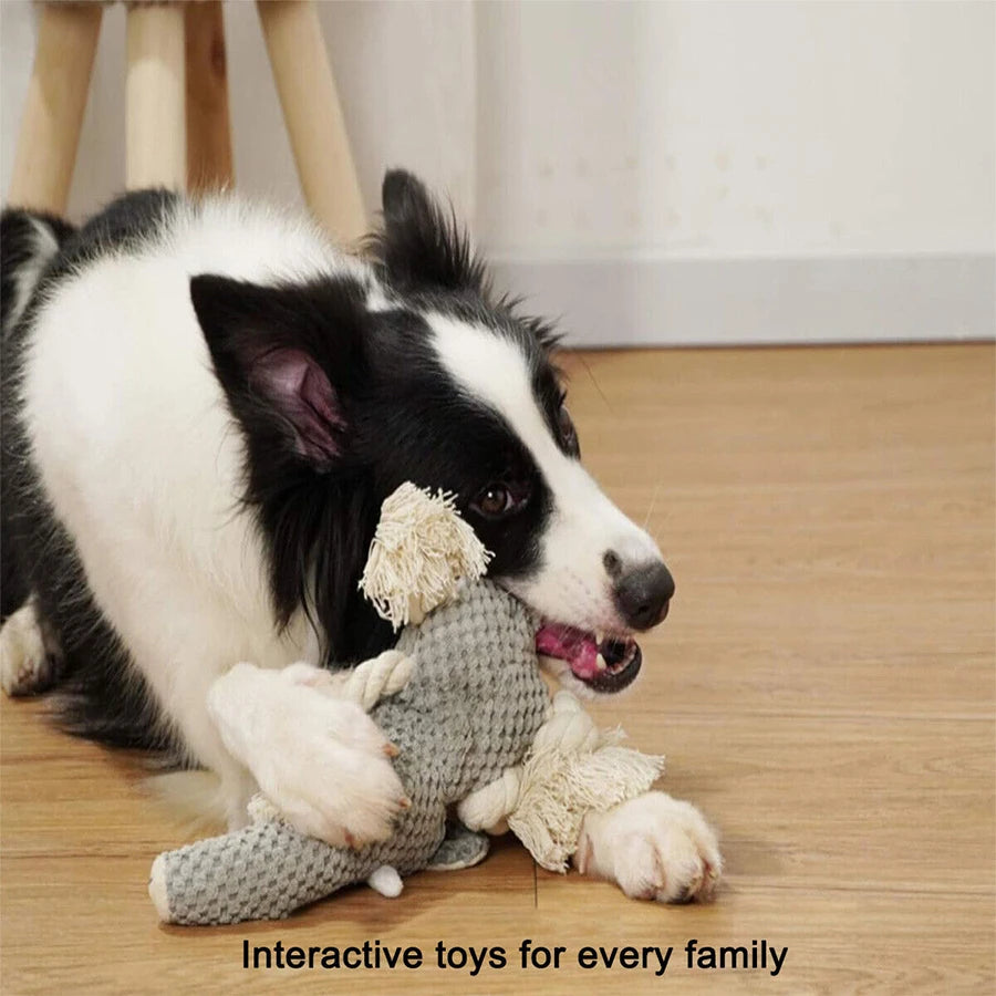 Dog playing with a plush toy on a wooden floor