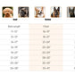 2024 Pet Dog Clothes Autumn Winter Dog Clothes Fleece Warm Dogs Vest High Neck Pet Jacket Pet Costume Dogs Clothes