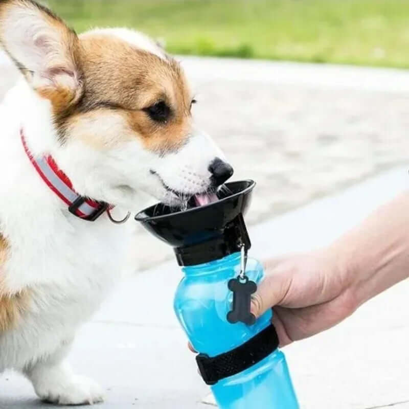 500ml Outdoor Portable Pet Dog Water Bottle Extrusion Large Dog Travel Water Cup Drinking Water Feeder Bowl for Dog Cat