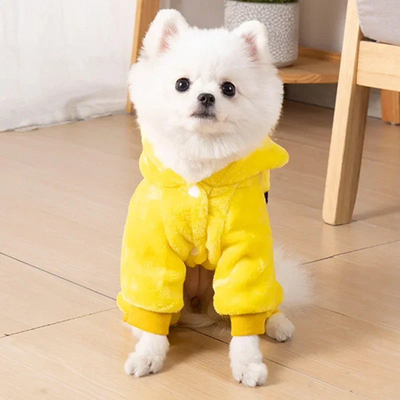 Small white dog wearing a yellow onesie on a wooden floor.