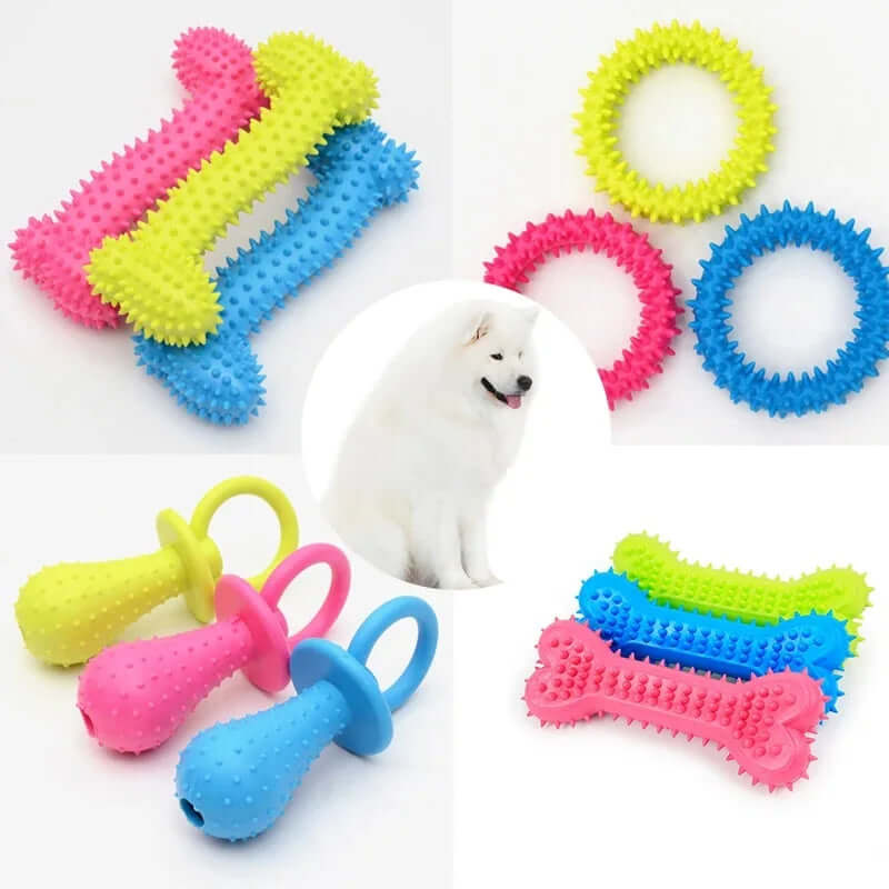 Colorful dog toys with a white dog sitting among them on a white background