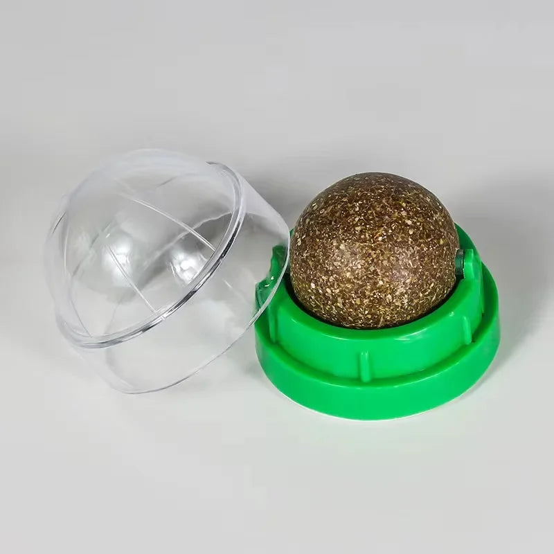 Green container with a clear dome lid and a brown spherical object inside on a white background