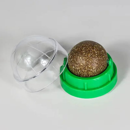 Green container with a clear dome lid and a brown spherical object inside on a white background