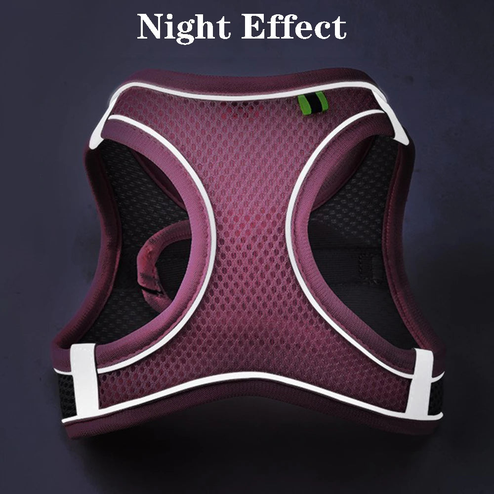 Purple dog harness with reflective white trim on a dark background