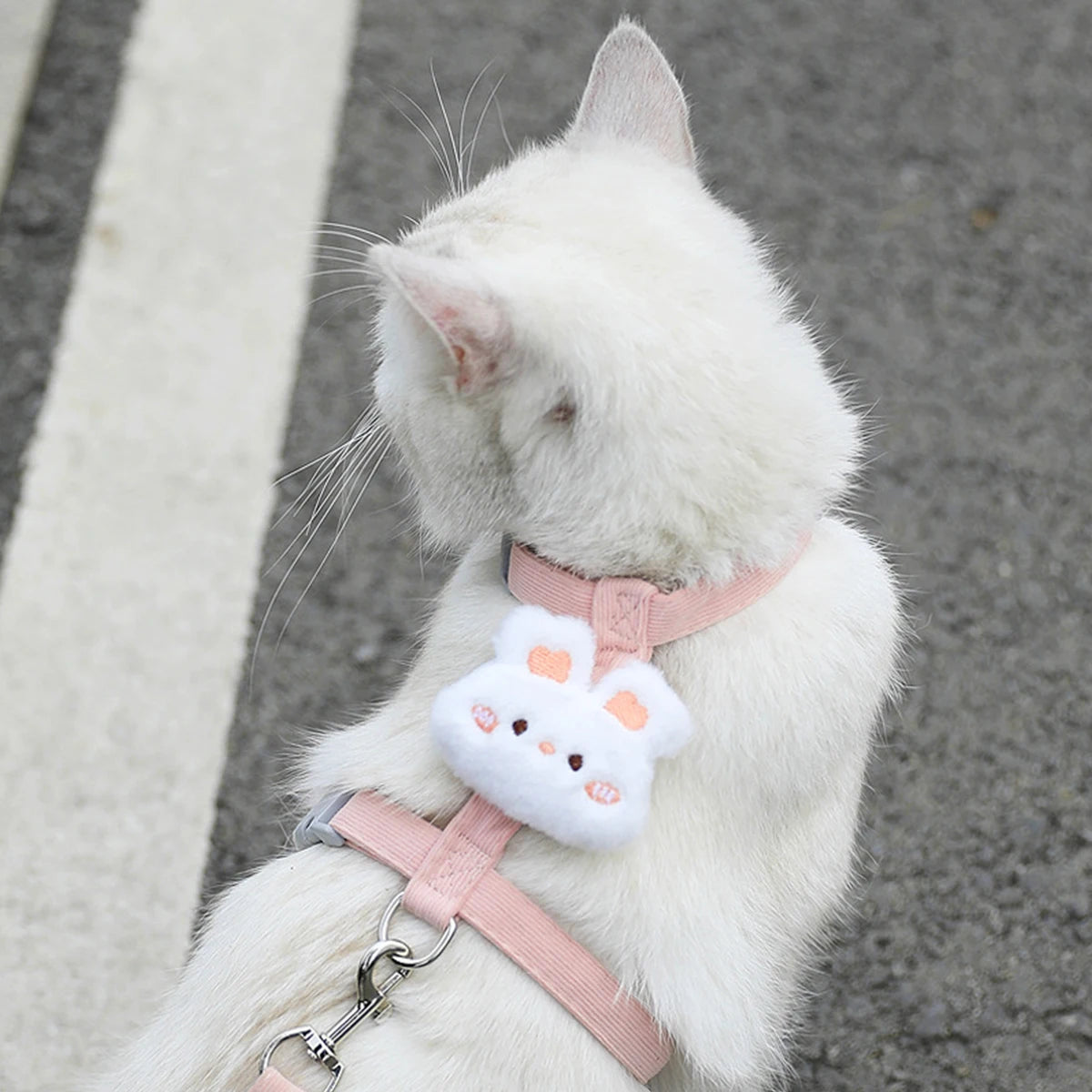 White cat wearing a pink harness with a fluffy cloud-shaped toy attached, on a neutral background.