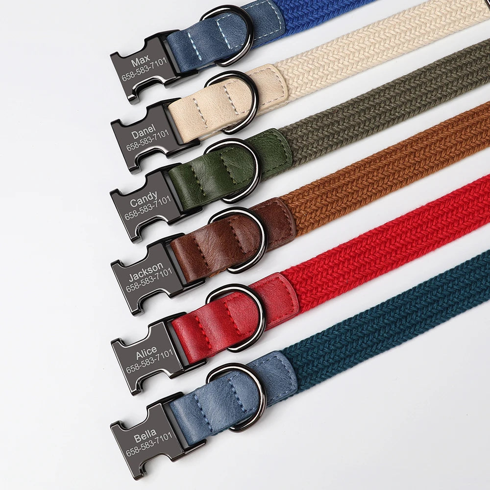 Set of colorful dog collars with engraved metal buckles on a white background