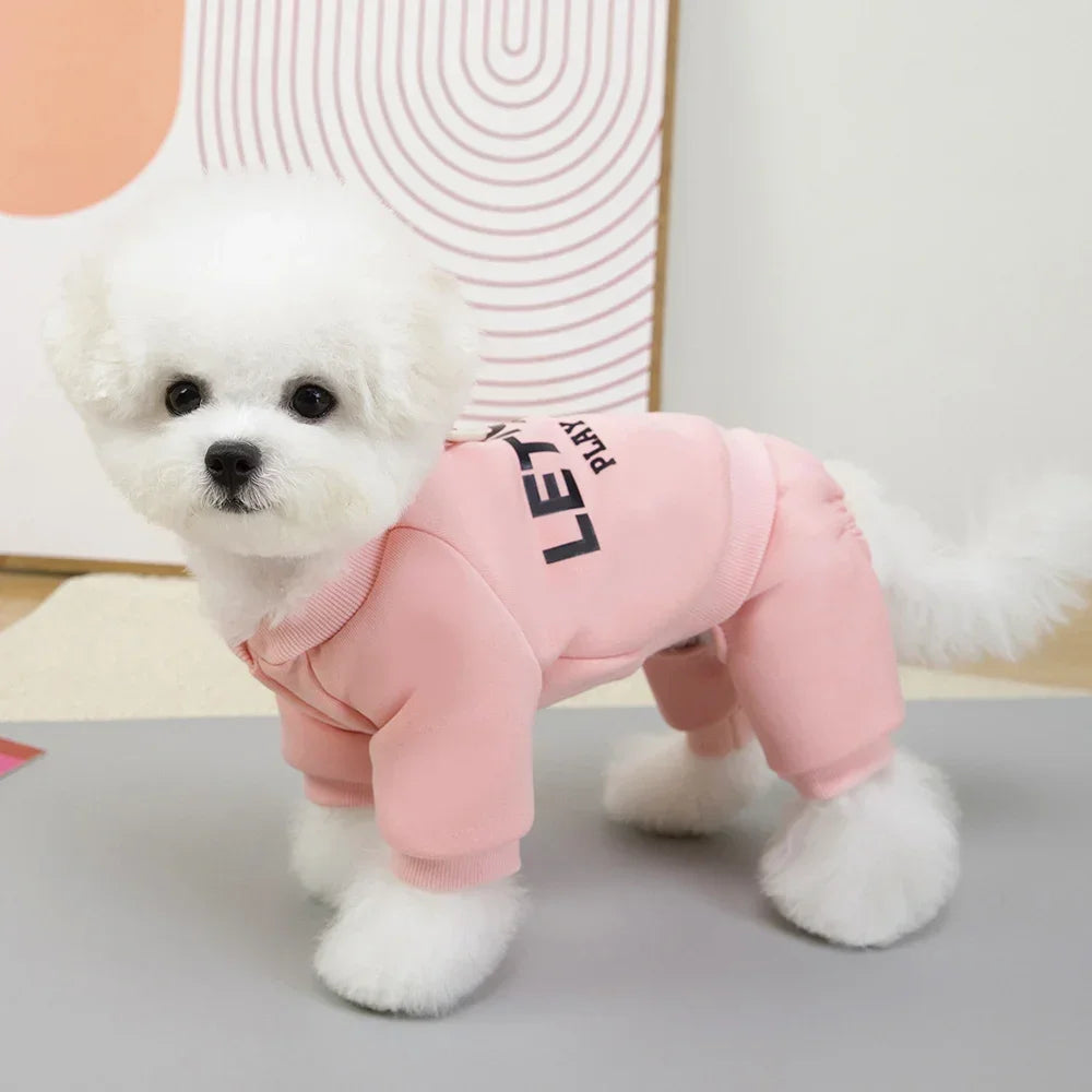 Small white dog wearing a pink outfit with text on a neutral background