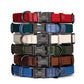 Stack of colorful dog collars with engraved metal buckles on a white background