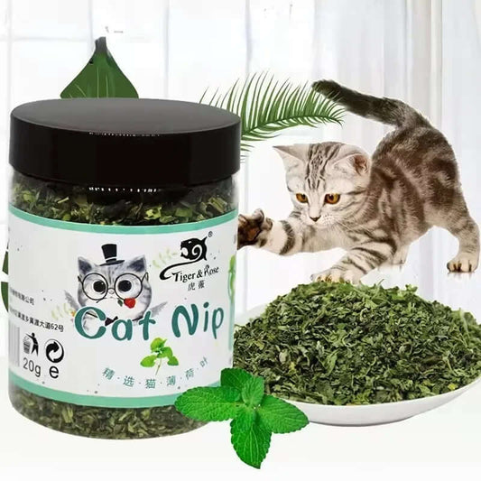 Jar of catnip with a cat interacting with it on a white background