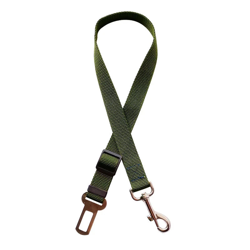 Green dog leash with metal clip on a white background