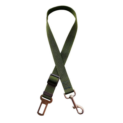 Green dog leash with metal clip on a white background