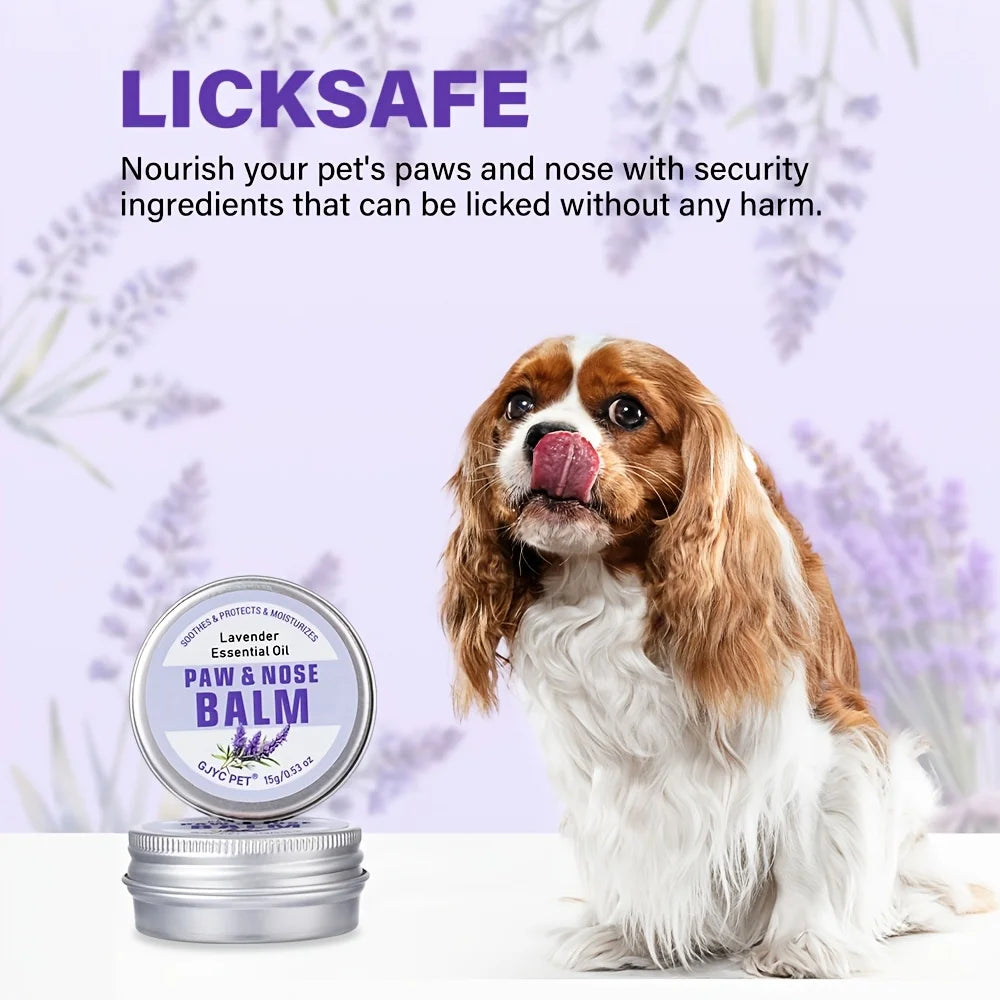 Dog licking a paw balm with lavender essential oil, surrounded by lavender flowers.