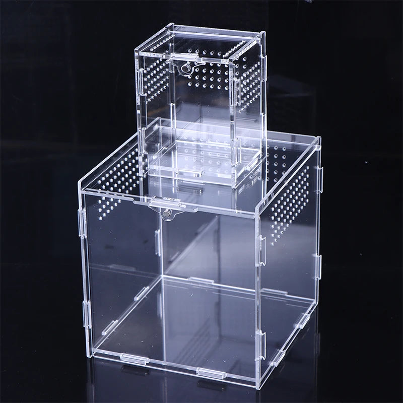 Terrarium Habitat Insect Spider Lizard Scorpion Feeding Cage Arboreal Enclosure Case Acrylic Transparent Reptile Breeding Box