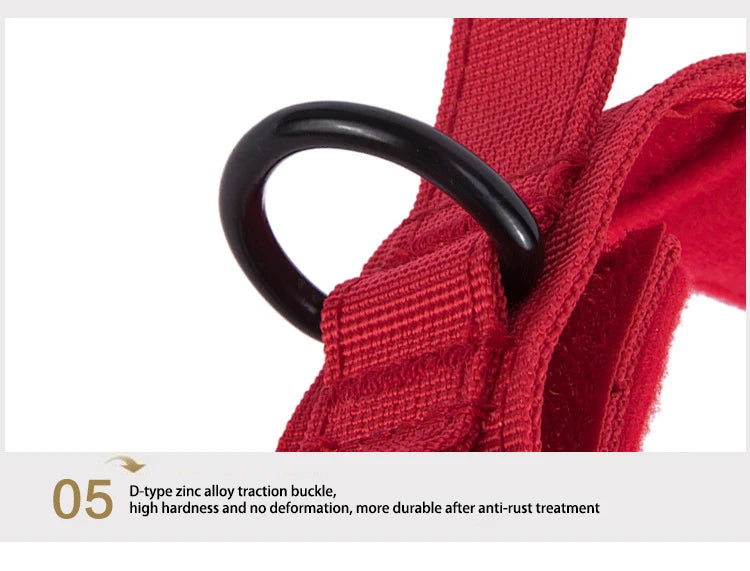 Red strap with a black D-type zinc alloy traction buckle on a white background