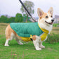 Dog wearing a green and yellow coat standing on grass with trees in the background