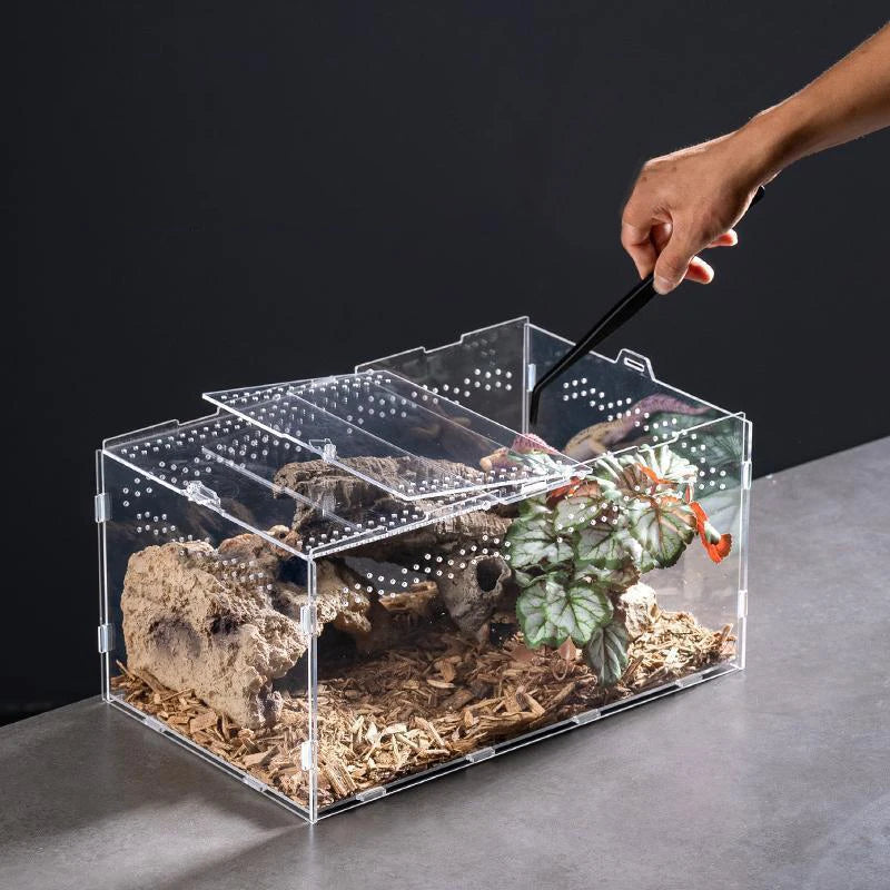 Terrarium Habitat Insect Spider Lizard Scorpion Feeding Cage Arboreal Enclosure Case Acrylic Transparent Reptile Breeding Box