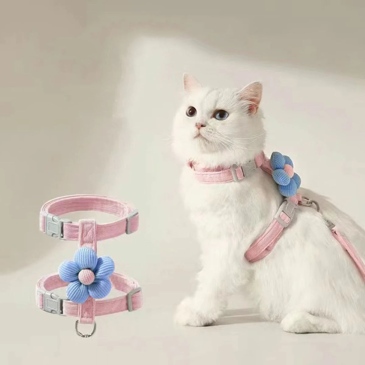 White cat wearing a pink harness with a blue flower attachment on a light background