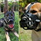 Two dogs wearing black dog muzzles outdoors on grassy areas.