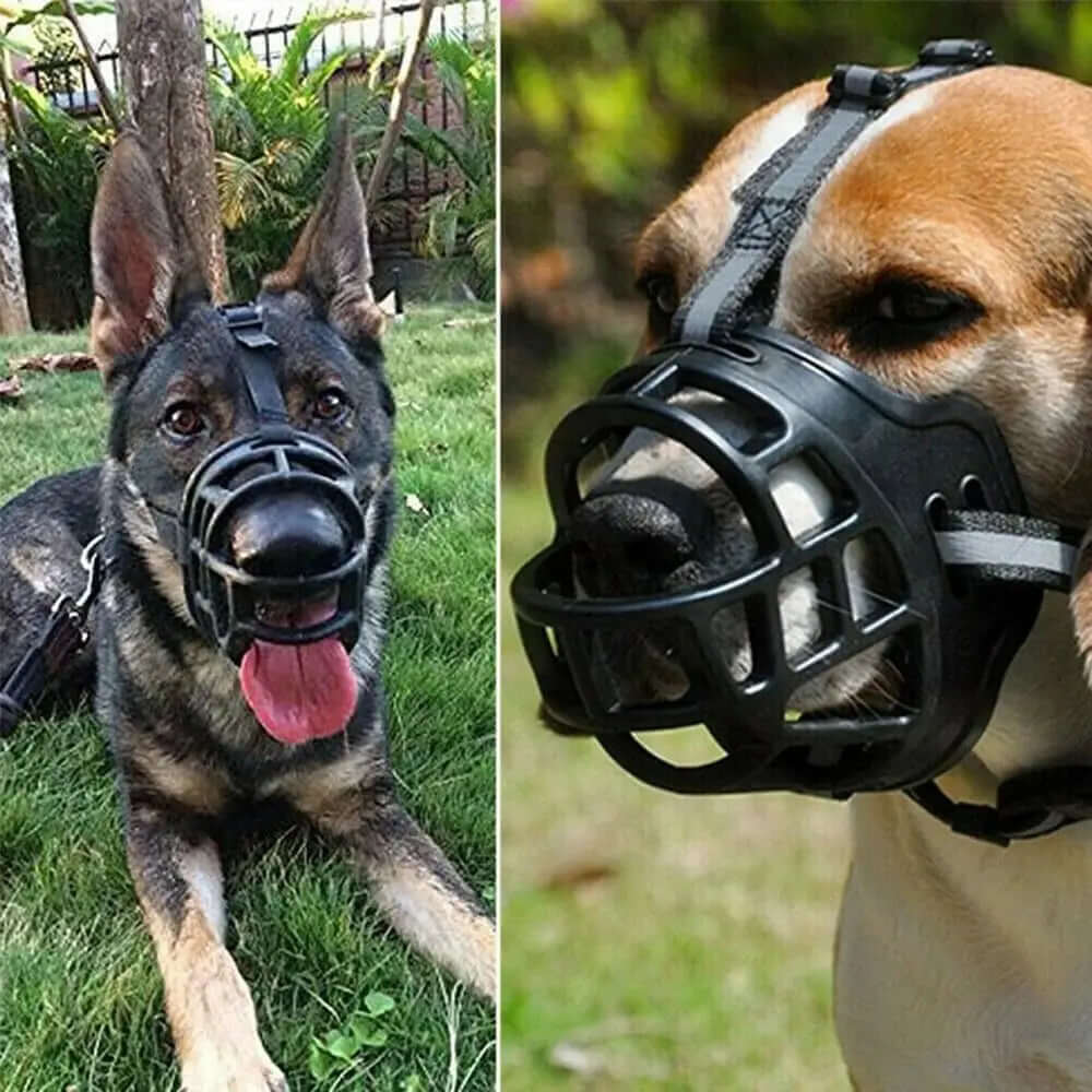 Two dogs wearing black dog muzzles outdoors on grassy areas.