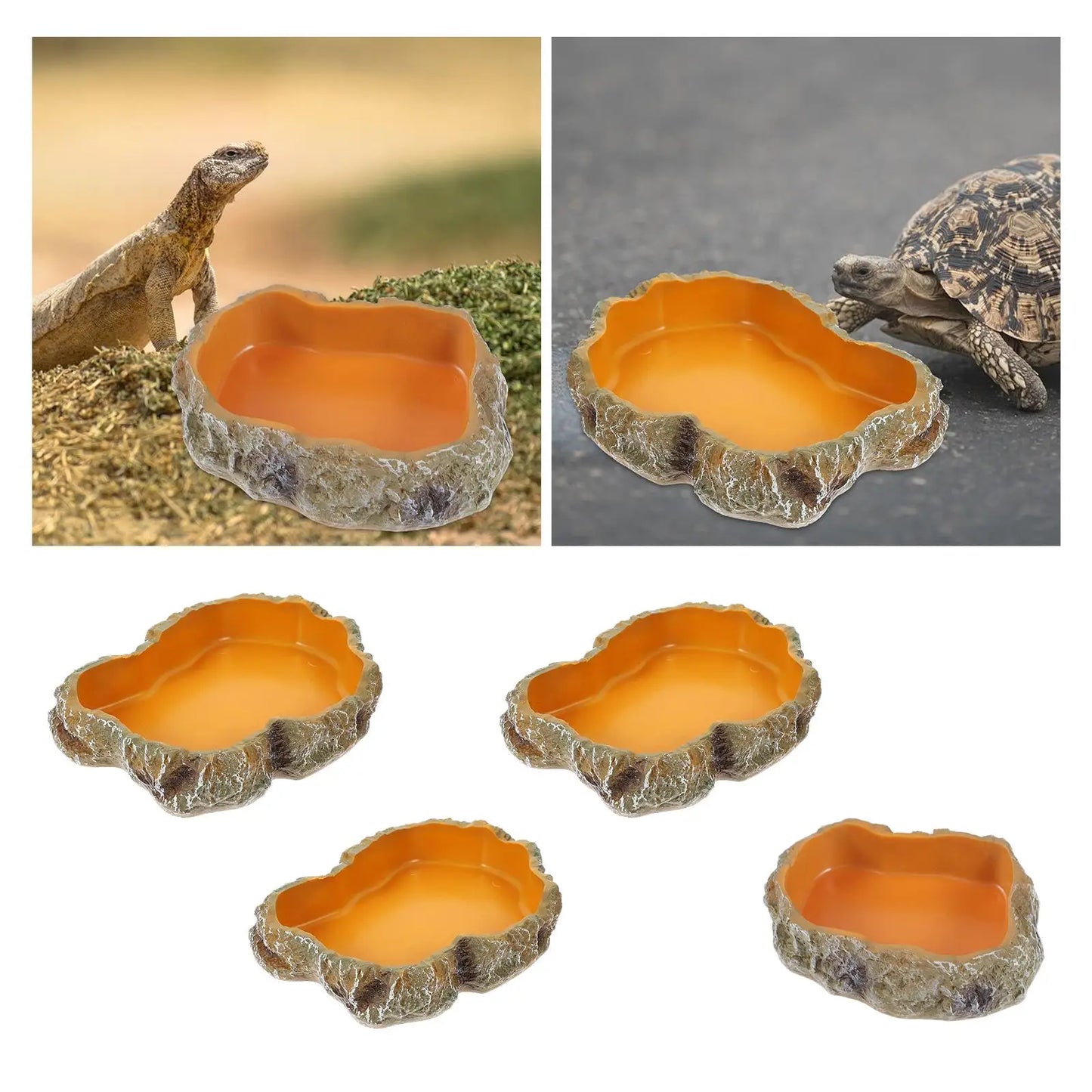 Reptile Water Bowls Decorative Terrarium Habitat Decoration Resin Feeding Bowl for Frog Tortoise Turtle Leopard Gecko