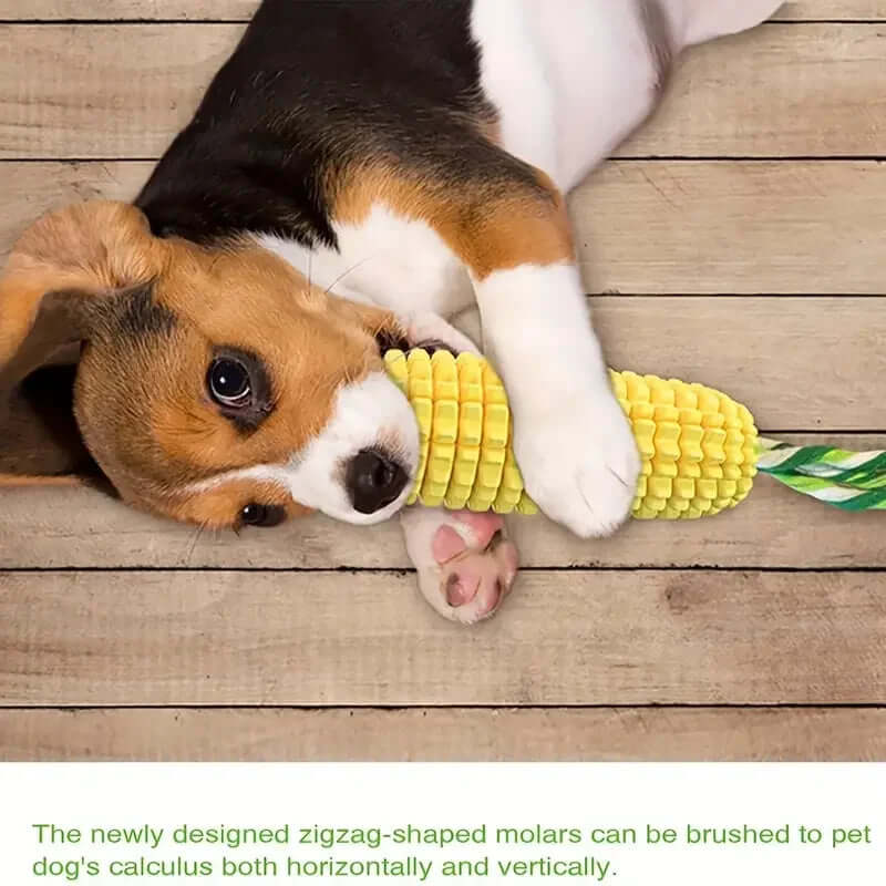 Dog playing with a corn-shaped chew toy on a wooden floor