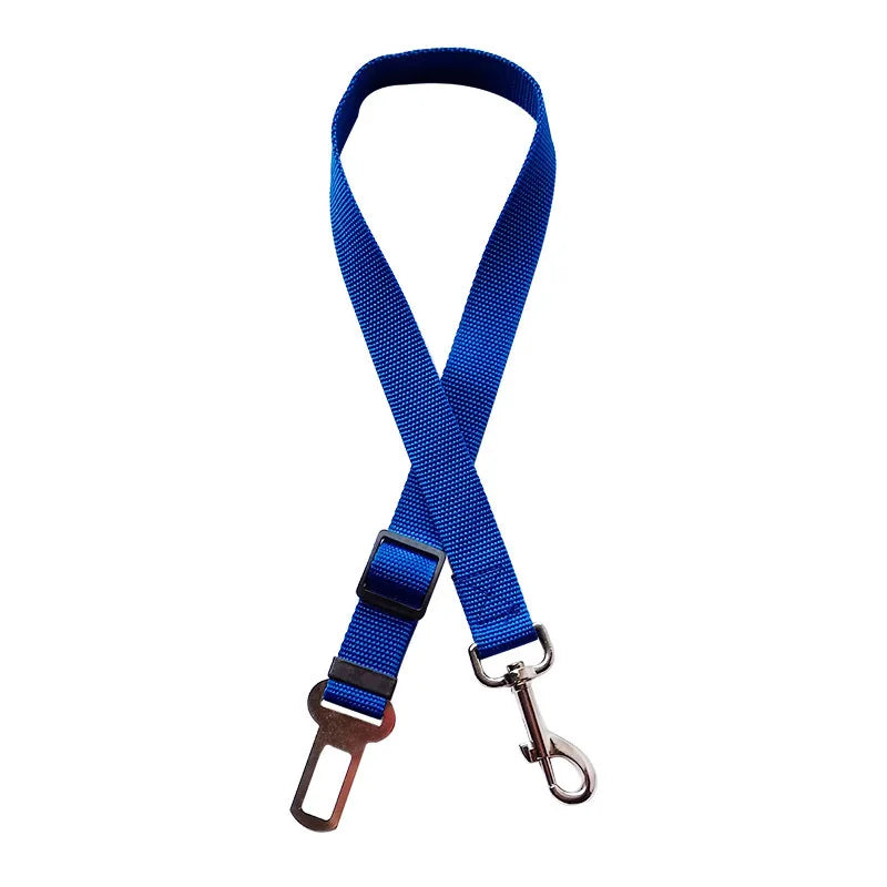 Blue dog leash with clip and metal buckle on a white background