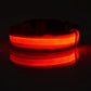 Red LED dog collar on a black background