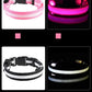 Collars in different colors with LED lights on a black background