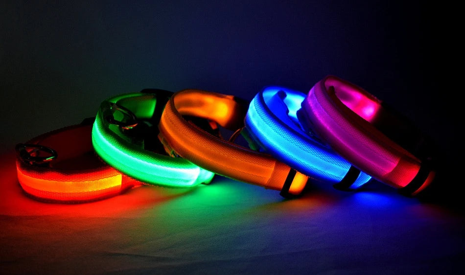 Four colorful LED dog collars glowing on a dark background