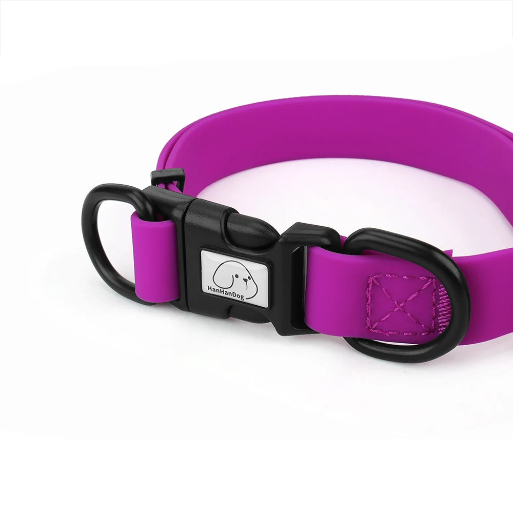Purple dog collar with black hardware on a white background