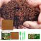 Reptile Coconut Soil Coir Pressed Coconut Fiber Substrate Lizard Tortoise Reptile Bedding Soil Reptile Terrarium Bottom Supplies