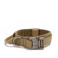 Tan dog collar with a metal buckle on a white background