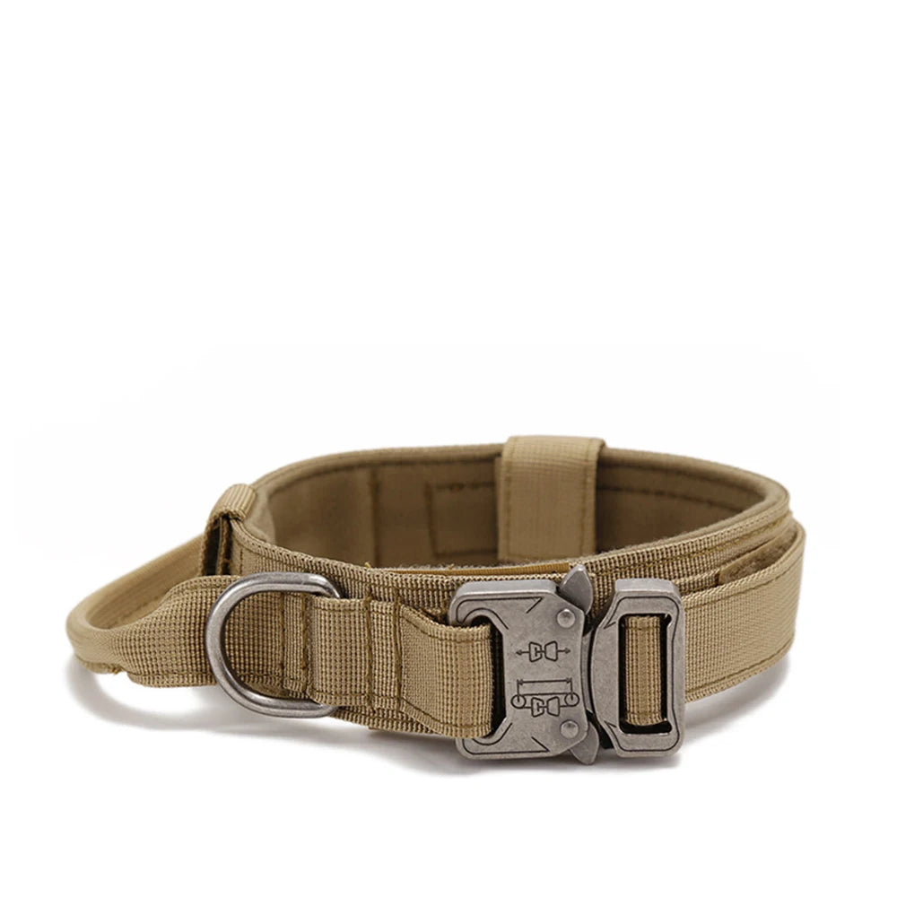 Tan dog collar with a metal buckle on a white background