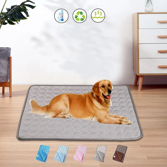 Dog lying on a gray pet mat with product packaging in the corner.
