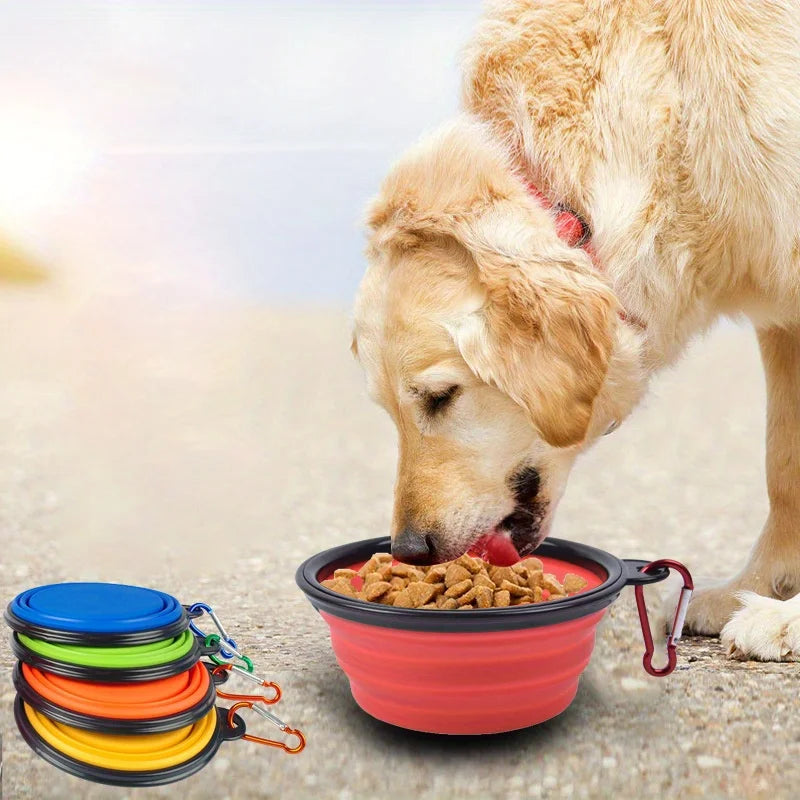 Dog eating from a red collapsible bowl with colorful lids stacked nearby.