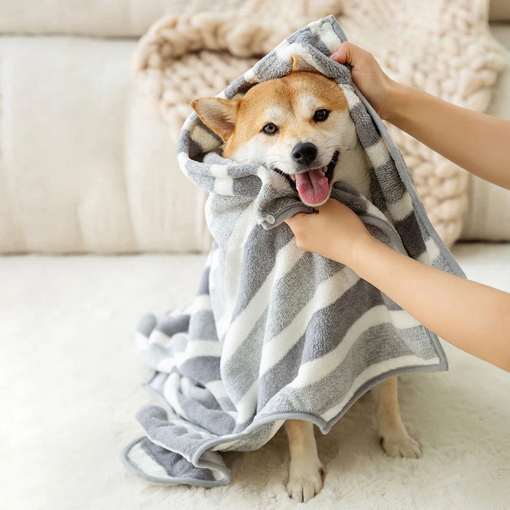 Dog being dried with a gray and white striped towel on a light-colored couch.
