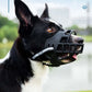 Dog wearing a black muzzle with a blurred outdoor background