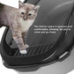Cat standing inside a black pet carrier with text about its spacious interior.