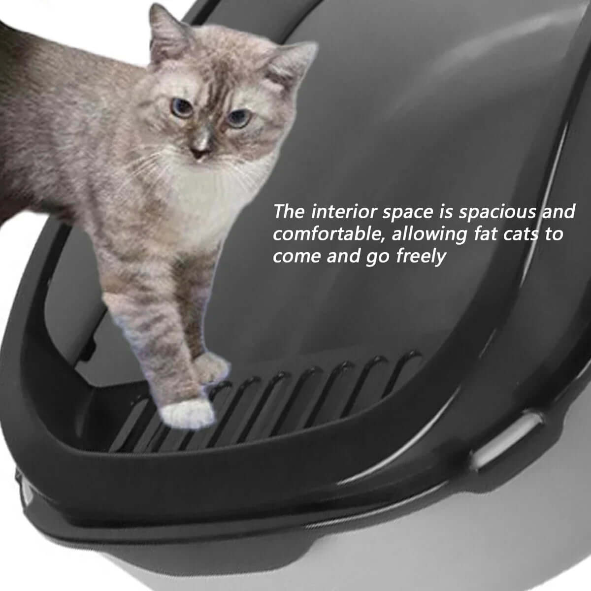 Cat standing inside a black pet carrier with text about its spacious interior.