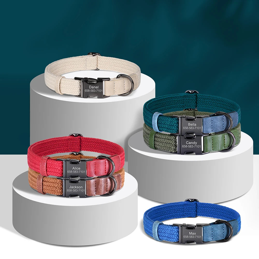 Set of colorful dog collars with engraved names on white stands against a dark blue background