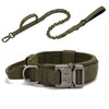 Green tactical dog collar with bungee leash on a white background