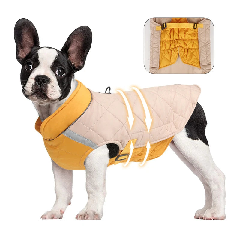 Dog wearing a yellow and beige quilted jacket with a close-up inset of the jacket's interior.