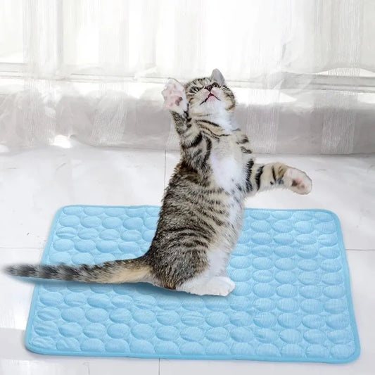 Pet Ice Mat Cooling Pad – Durable Summer Bed for Small Dogs and Cats