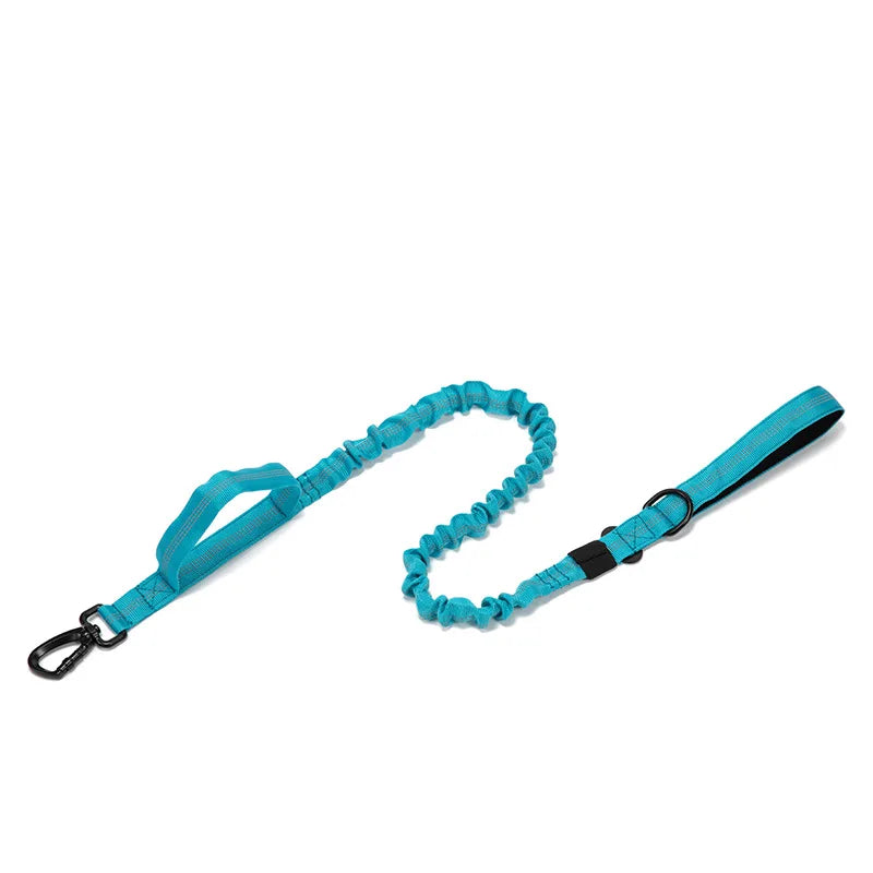 Blue dog leash with handle on a white background