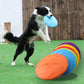 Dog playing with a blue frisbee on a green grassy area with multiple colored frisbees in the foreground.