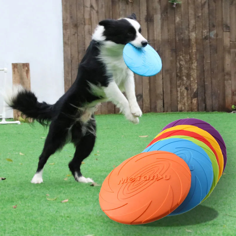Dog playing with a blue frisbee on a green grassy area with multiple colored frisbees in the foreground.