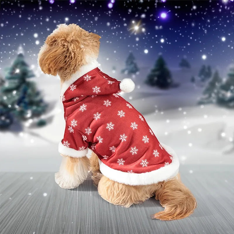 Dog wearing a red snowflake-patterned coat in a snowy landscape