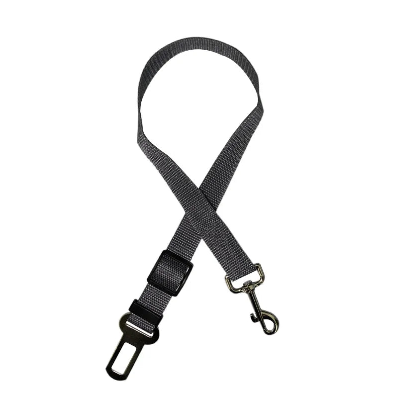 Black dog leash with clip on a white background